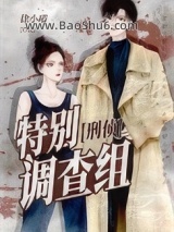 特别调查组[刑侦]小说