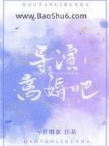 《导演，离婚吧》全本TXT下载-作者：一程烟草