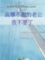 高攀不起的老公，我不要了小说