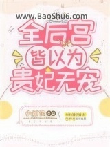 全后宫皆以为贵妃无宠图片