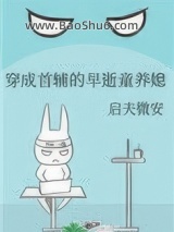 《穿成首辅的早逝童养媳》全本TXT下载-作者：启夫微安
