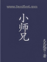 《小师兄》全本TXT下载-作者：天无风雪