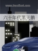 《六十年代黑天鹅》全本TXT下载-作者：张大姑娘