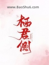 栖君侧小说