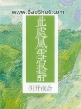 此处风雪寂静图片