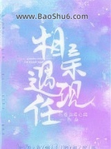 《相亲遇现任》全本TXT下载-作者：巧克力流心团