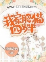 我家肥猫四岁半图片