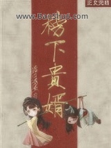 《榜下贵婿》全本TXT下载-作者：落日蔷薇