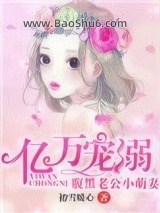 《腹黑老公小萌妻》全本TXT下载-作者：初雪暖心