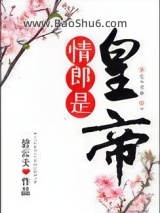 《情郎是皇帝》全本TXT下载-作者：碧云天