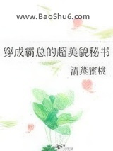 穿成霸总的超美貌秘书图片