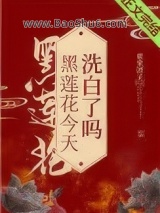 《黑莲花今天洗白了吗》全本TXT下载-作者：谁家团子