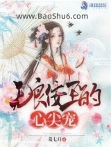 《无良佞王的心尖宠》全本TXT下载-作者：菱七月
