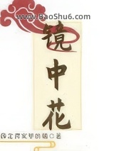 镜中花图片