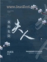 我的危险夫人小说