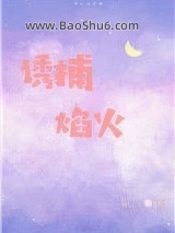 《诱捕焰火[娱乐圈]》全本TXT下载-作者：银八