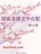 穿成圣母文中女配图片