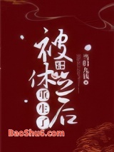 《被休之后重生了》全本TXT下载-作者：当归九钱