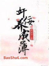 奸佞养成簿图片