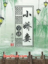 引诱小娇妻（重生）图片