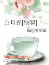 白月光[快穿]图片