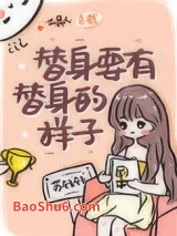 《替身要有替身的样子》全本TXT下载-作者：苏钱钱