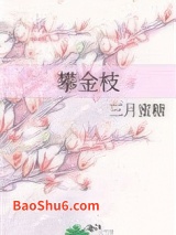 攀金枝小说