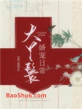 《大丫鬟娇宠日常》全本TXT下载-作者：超星系