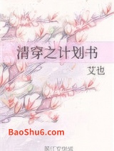 清穿之计划书图片