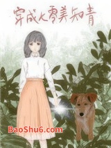 穿成七零美知青图片