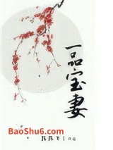 一品宝妻图片