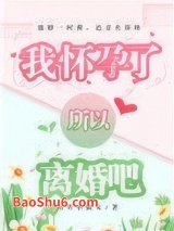 我怀孕了，所以离婚吧图片