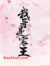 我哥是宸王（重生）图片