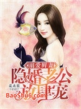 《溺爱鲜妻：隐婚老公放肆宠》全本TXT下载-作者：花木蓝