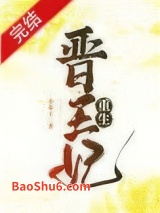 晋王妃（重生）图片