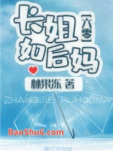 《长姐如后妈[六零]》全本TXT下载-作者：林果冻