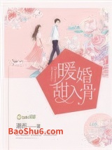 《暖婚甜入骨》全本TXT下载-作者：漫西