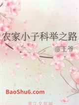 农家小子科举之路图片