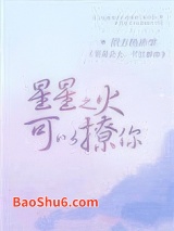 星星之火，可以撩你小说