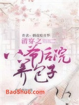 《清穿之八爷后院养包子》全本TXT下载-作者：烟花绽月华