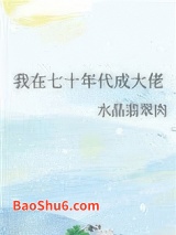 《我在七十年代成大佬》全本TXT下载-作者：水晶翡翠肉