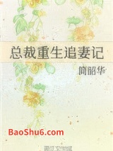 《总裁重生追妻记》全本TXT下载-作者：简韶华