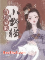 穿成首辅家的小野猫图片
