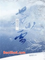 《苍山雪》全本TXT下载-作者：墨书白