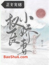 权臣小娇妻总是失忆图片