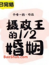 摄政王的1／2婚姻图片