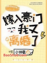 嫁入豪门后我又离婚了图片