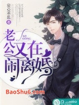 《老公又在闹离婚》全本TXT下载-作者：安心不乱