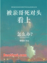 《被亲哥死对头看上怎么办》全本TXT下载-作者：珊瑚树