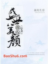 《（穿书）我有盛世美颜》全本TXT下载-作者：施夷光